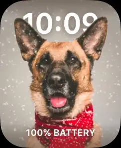 WINTER DOG