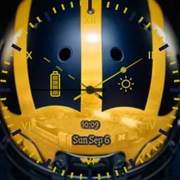 Michigan Helmet