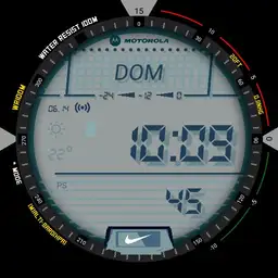 Digital Diver Copy
