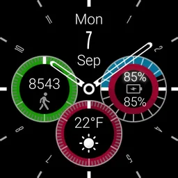 DK Watch plus Ambient Weather + Steps Icons NEW