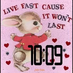 Bunny