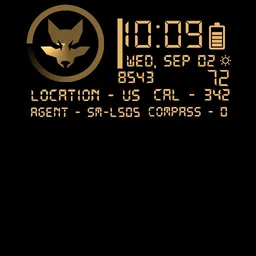 Division 2 Hunter watch