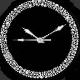 Diamond Watch - plwren
