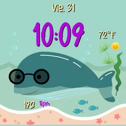 AT- 🐳Sunny Whale