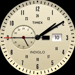Basic Timex dual time zone