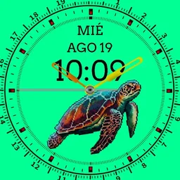 TORTUCRY
