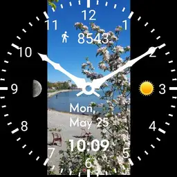 Frühling