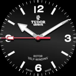 Tudor Heritage Ranger