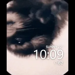 fzdgds