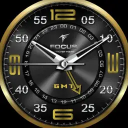 Focus GMT v21