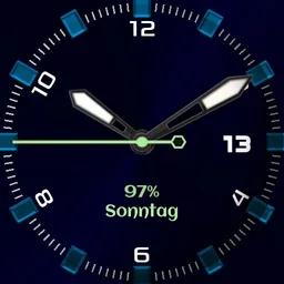 PittWittAnalogCop