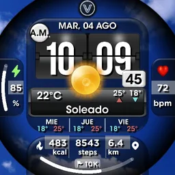 Flip Black Weather Digital