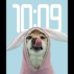 Woof / F*D