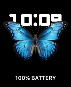 BUTTERFLY