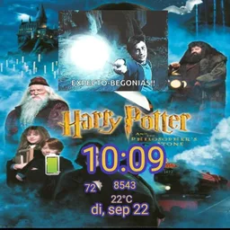 Harry Potter
