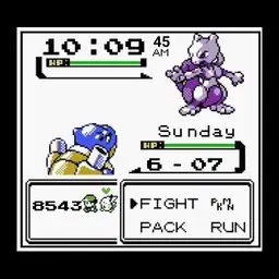 Pokemon Battle
