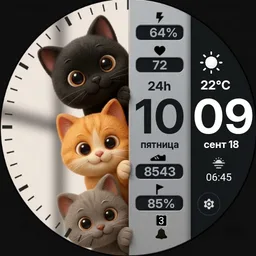 BlackOut_cats