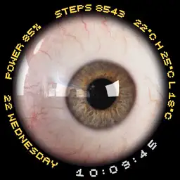 EYEWATCH