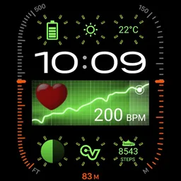 CRYVER2.4