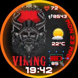 VIKING03