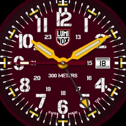 luminox dive master carbon Copy