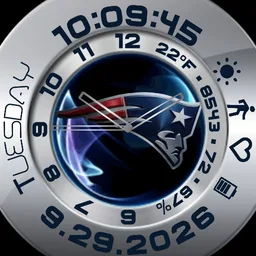 PATRIOTS digital & analog - U PICOLOR