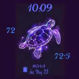 Sea turtles