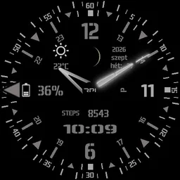 rpi-31