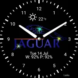 Flashy Jaguar
