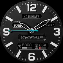 Snow Timer
