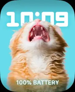 FUNNY CAT