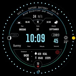 D.V design watch 007