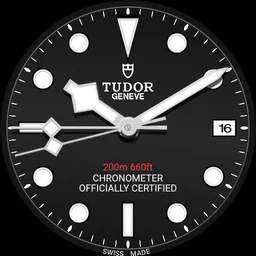 Tudor Heritage Black Bay Steel