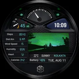 The Smart Travel Companion V