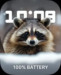 RACOON
