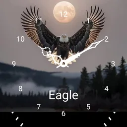 Eagle 1903