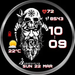 viking02