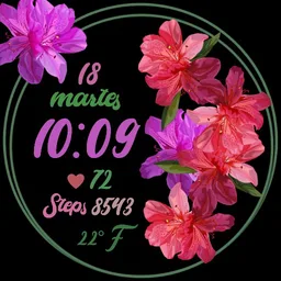 N-MARÍA