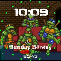 Turtles Chillin