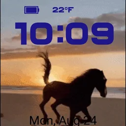 Stallion simple digital