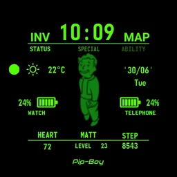 Pip-Boy Matt Edition
