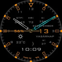 rpi-53