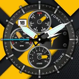 Focus sport v1