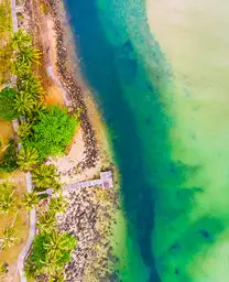 aerial