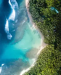 aerial