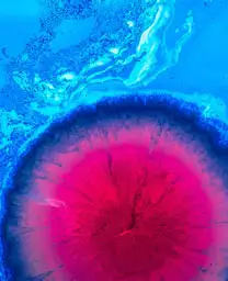 color