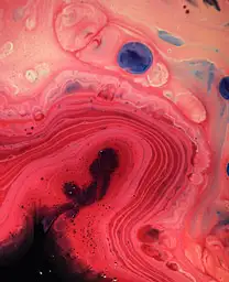 liquid