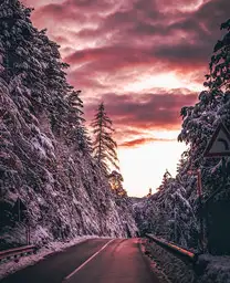 sunset