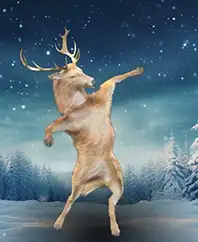 DANCING DEER