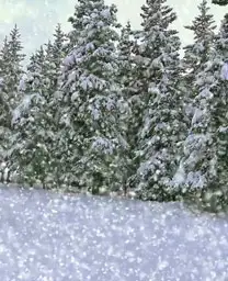 snowy forest